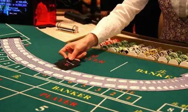 3788 bet app